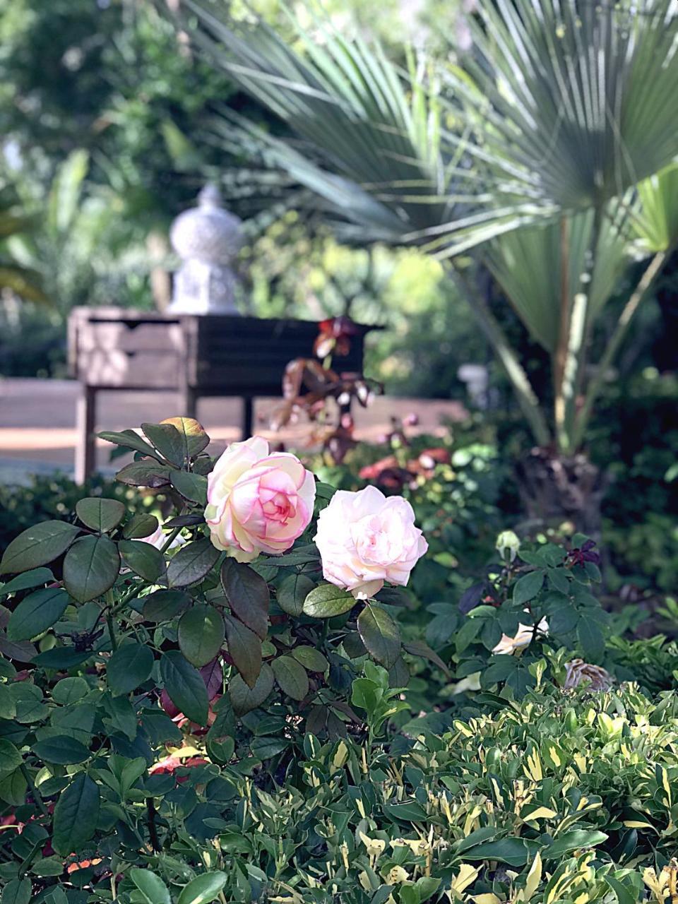 Villa Marrone - Relais - مارسالا المظهر الخارجي الصورة